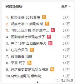 新闻爆料音乐,揭秘最新爆料背后的音乐故事